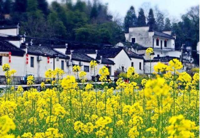Xishan Wutong Qinyuan Huang-shan Kültér fotó