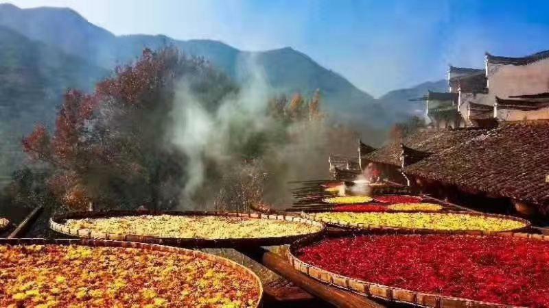 Xishan Wutong Qinyuan Huang-shan Kültér fotó